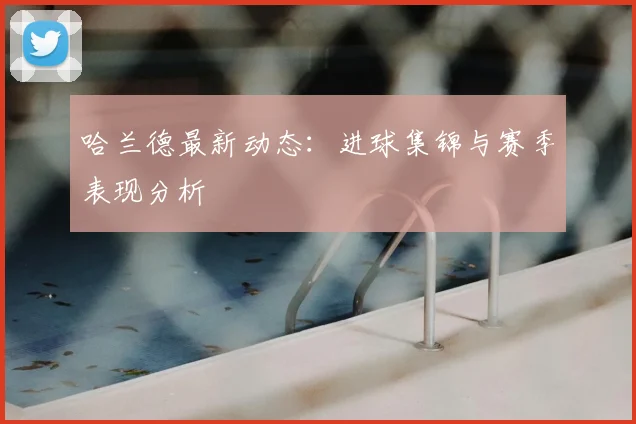 哈兰德最新动态:进球集锦与赛季表现分析